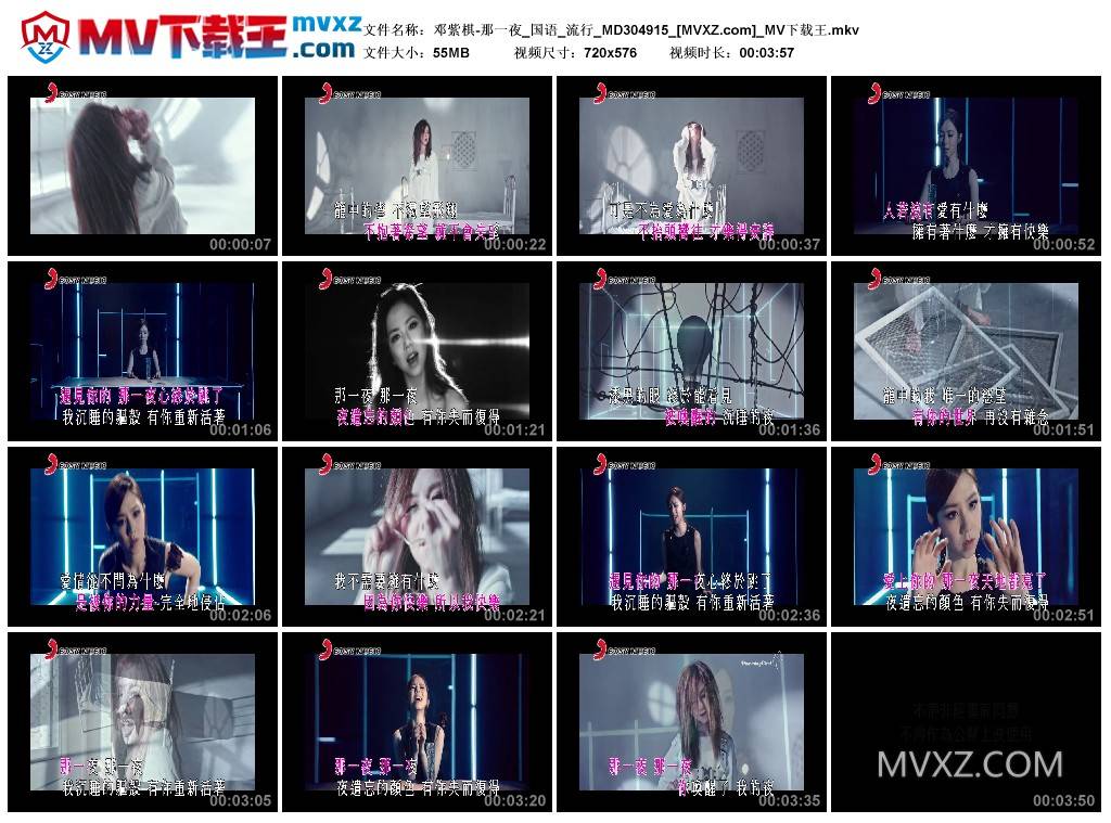 邓紫棋-那一夜_国语_流行_MD304915